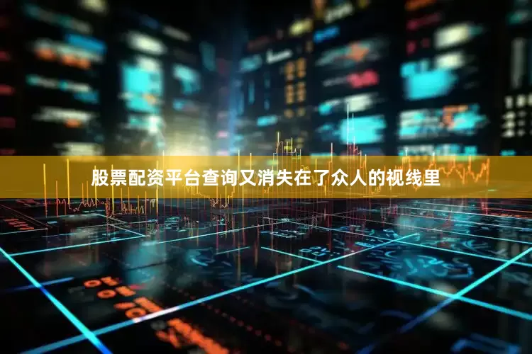 股票配资平台查询又消失在了众人的视线里