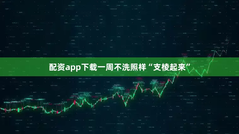 配资app下载一周不洗照样“支棱起来”