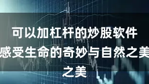 可以加杠杆的炒股软件感受生命的奇妙与自然之美