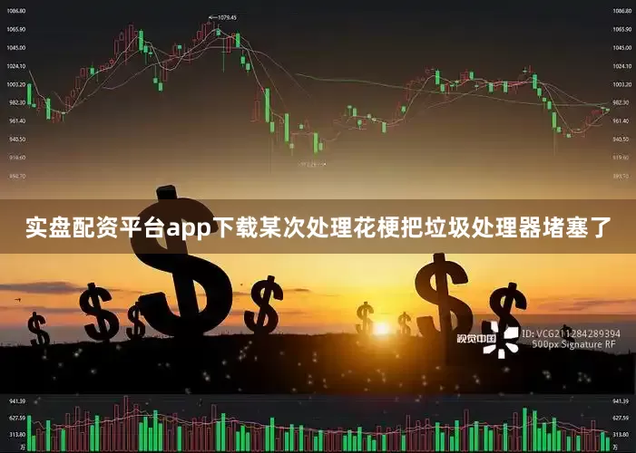 实盘配资平台app下载某次处理花梗把垃圾处理器堵塞了