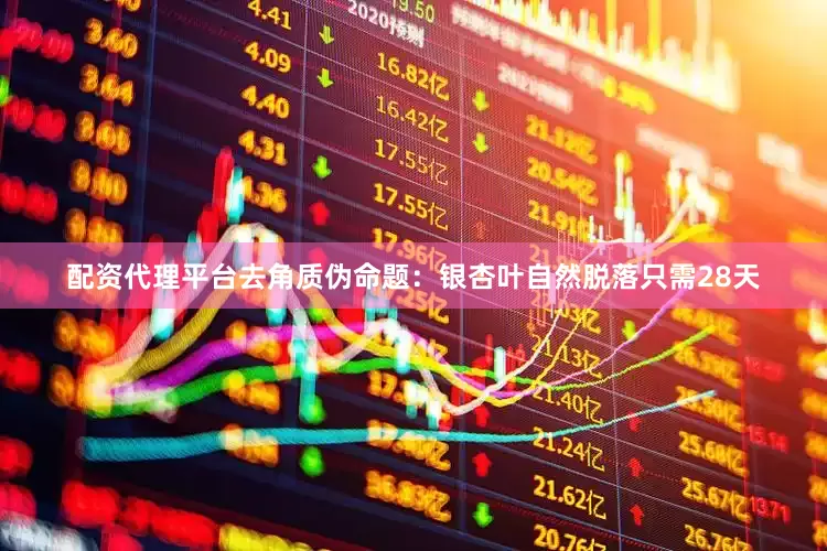 配资代理平台去角质伪命题：银杏叶自然脱落只需28天